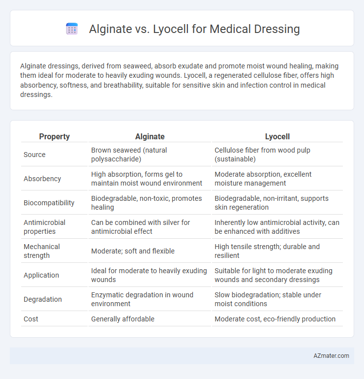 Alginate vs. Lyocell for Medical Dressing - What is The Difference?