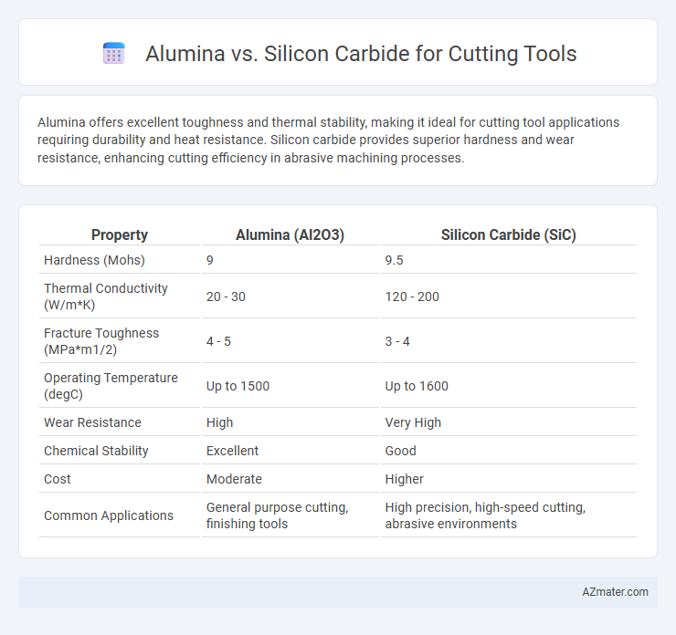 Alumina vs. Silicon Carbide for Cutting Tools - What is The Difference?