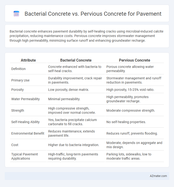Bacterial Concrete vs. Pervious Concrete for Pavement - What is The Difference?