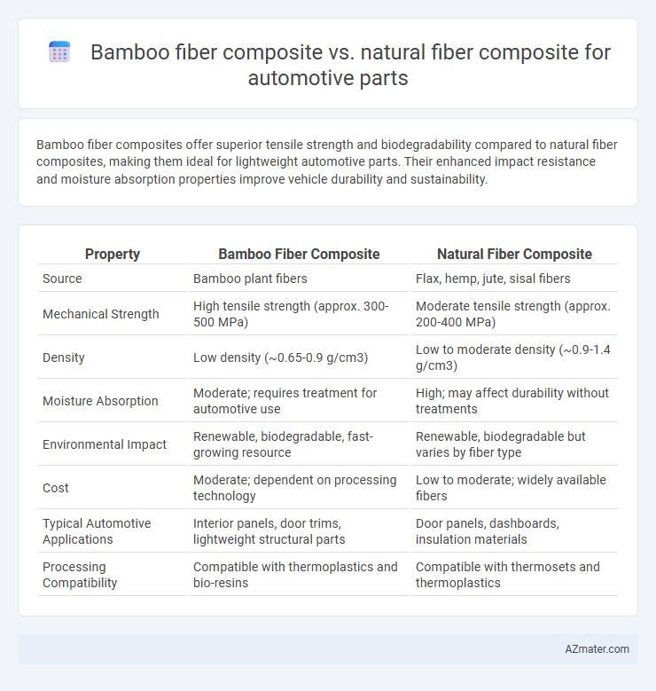 Bamboo fiber composite vs. natural fiber composite for automotive parts - What is The Difference?