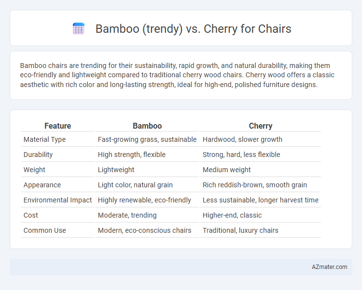 Bamboo (trendy) vs. Cherry for Chairs - What is The Difference?