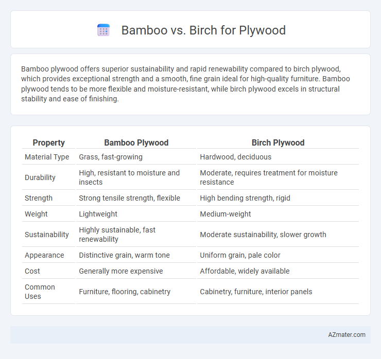 Bamboo vs. Birch for Plywood - What is The Difference?