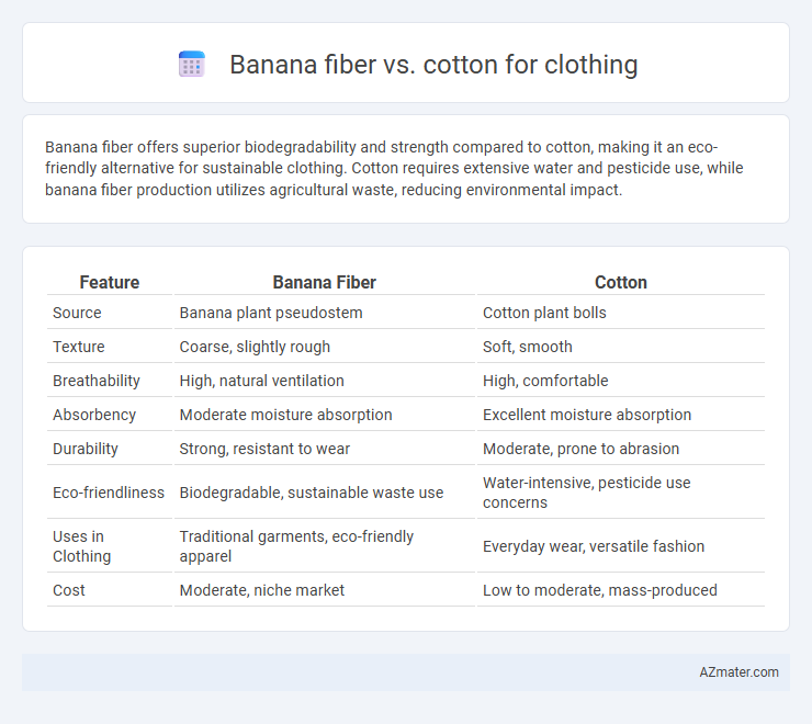 Banana fiber vs. cotton for clothing - What is The Difference?