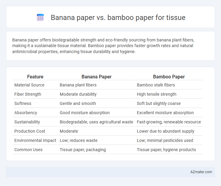 Banana paper vs. bamboo paper for tissue - What is The Difference?