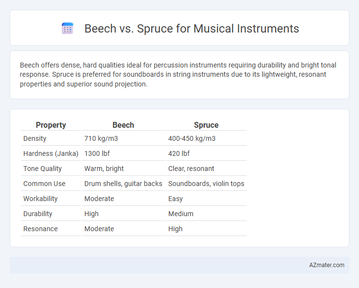 Beech vs. Spruce for Musical Instruments - What is The Difference?
