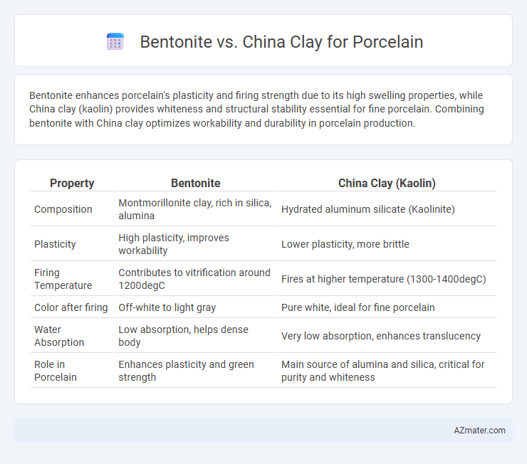 Bentonite vs. China Clay for Porcelain - What is The Difference?