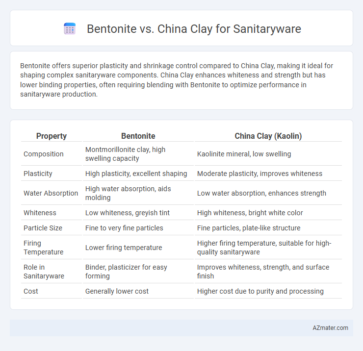 Bentonite vs. China Clay for Sanitaryware - What is The Difference?