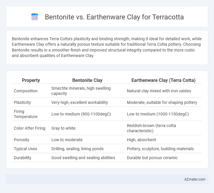 Bentonite vs. Earthenware Clay for Terracotta - What is The Difference?