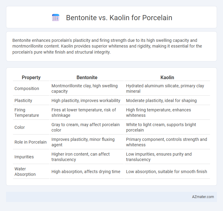 Bentonite vs. Kaolin for Porcelain - What is The Difference?