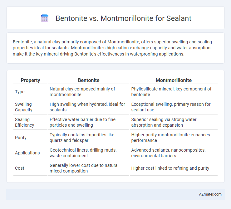 Bentonite vs. Montmorillonite for Sealant - What is The Difference?