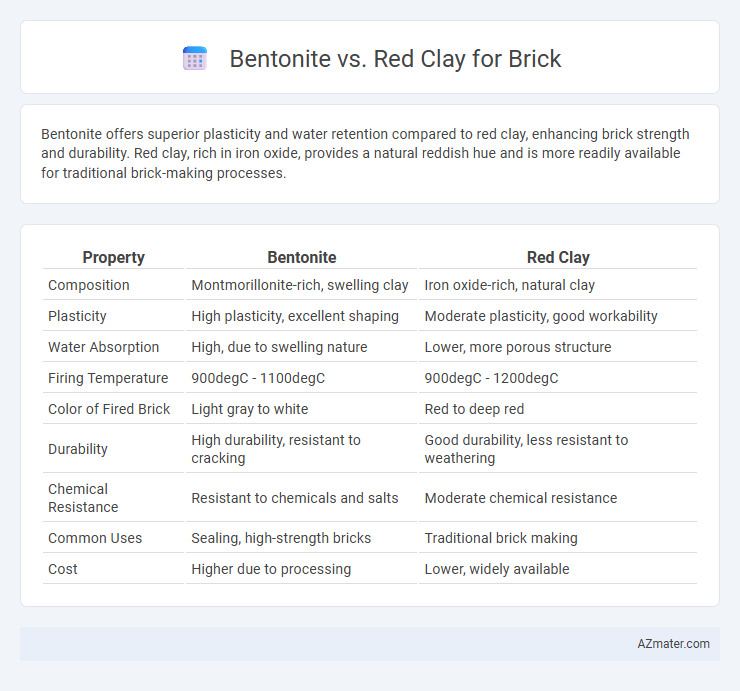 Bentonite vs. Red Clay for Brick - What is The Difference?