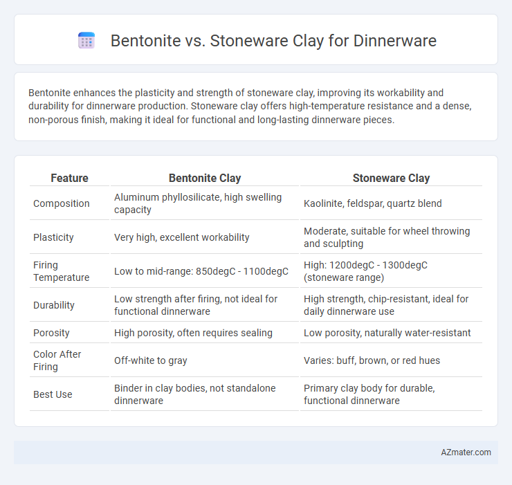 Bentonite vs. Stoneware Clay for Dinnerware - What is The Difference?