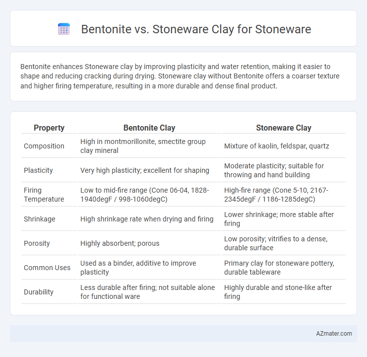 Bentonite vs. Stoneware Clay for Stoneware - What is The Difference?