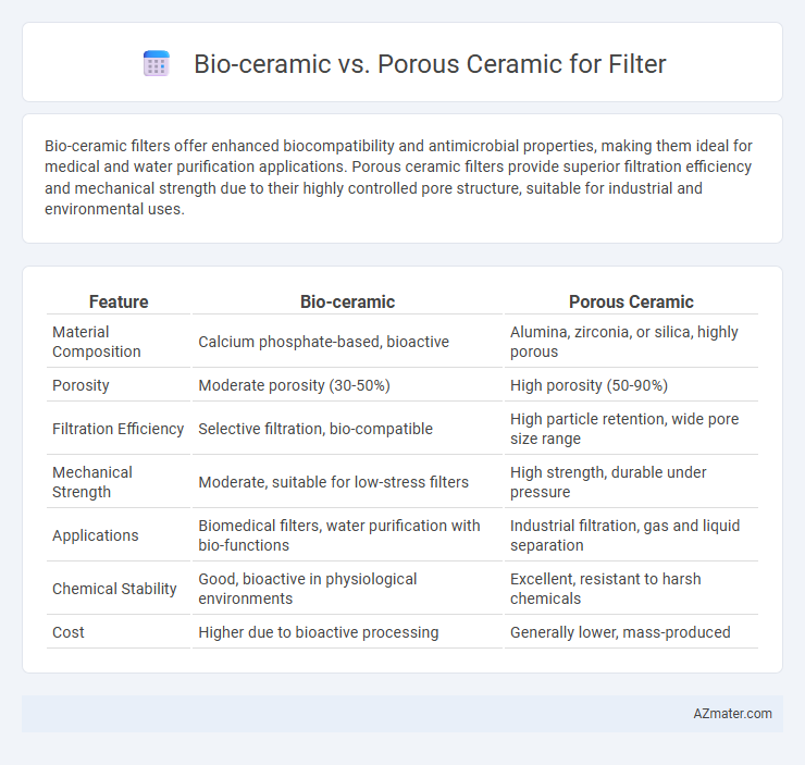 Bio-ceramic vs. Porous Ceramic for Filter - What is The Difference?