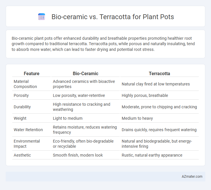 Bio-ceramic vs. Terracotta for Plant Pots - What is The Difference?