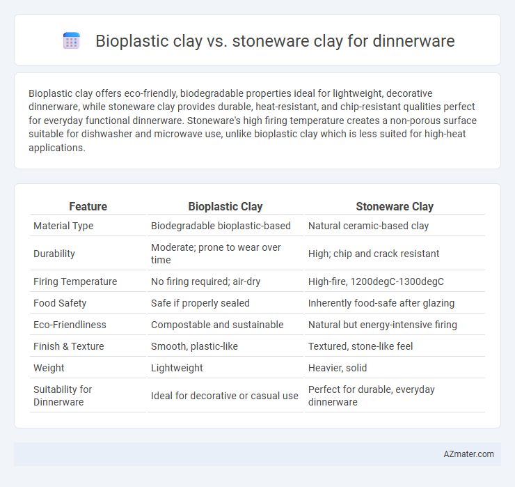 Bioplastic clay vs. stoneware clay for dinnerware - What is The Difference?
