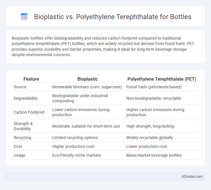 Bioplastic vs. Polyethylene Terephthalate for Bottles - What is The Difference?