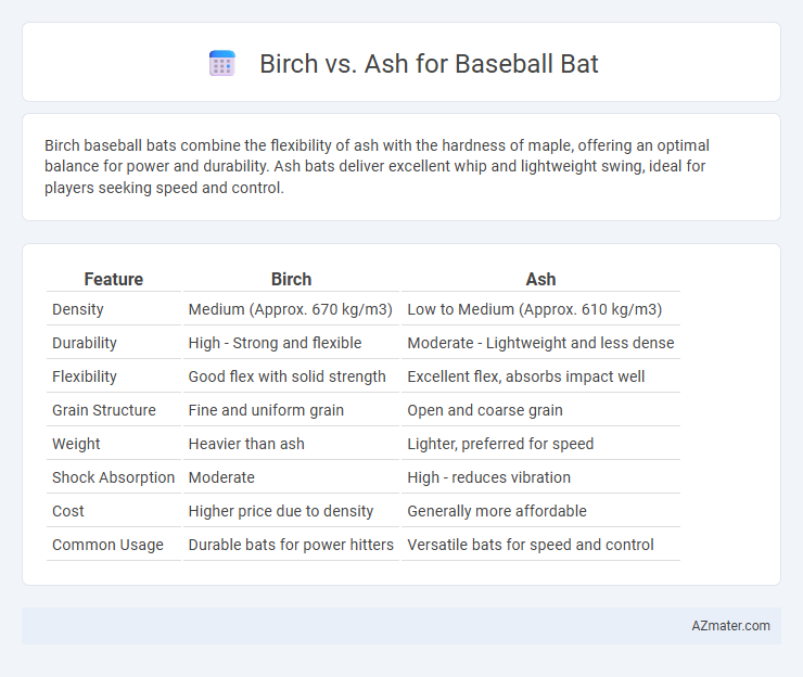 Birch vs. Ash for Baseball Bat - What is The Difference?