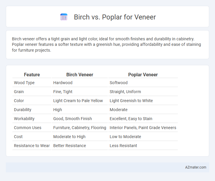 Birch vs. Poplar for Veneer - What is The Difference?