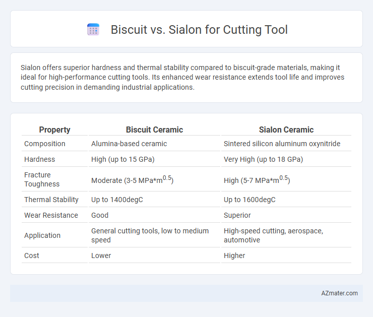 Biscuit vs. Sialon for Cutting Tool - What is The Difference?