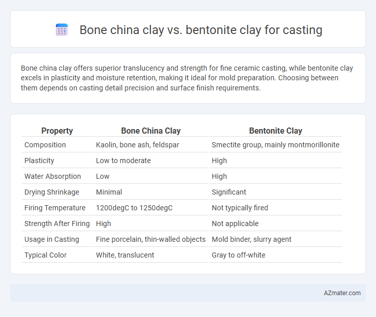 Bone china clay vs. bentonite clay for casting - What is The Difference?
