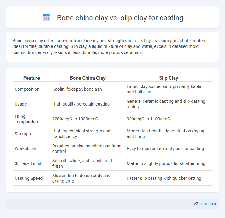 Bone china clay vs. slip clay for casting - What is The Difference?