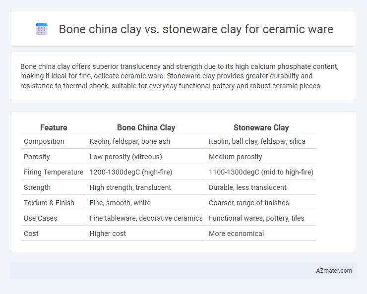 Bone china clay vs. stoneware clay for ceramic ware - What is The Difference?