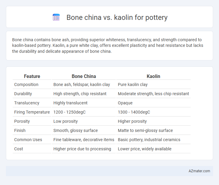 Bone china vs. kaolin for pottery - What is The Difference?