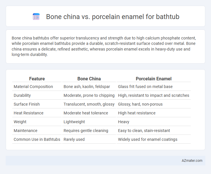 Bone china vs. porcelain enamel for bathtub - What is The Difference?