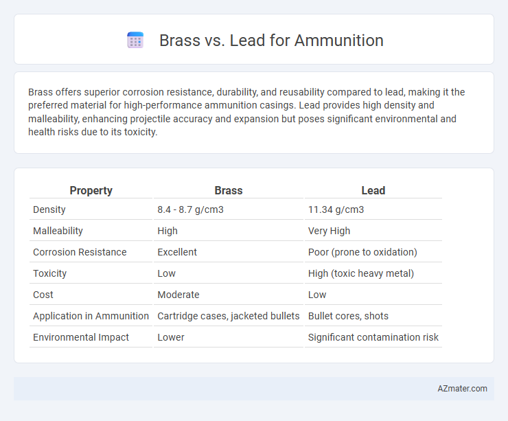 Brass vs. Lead for Ammunition - What is The Difference?