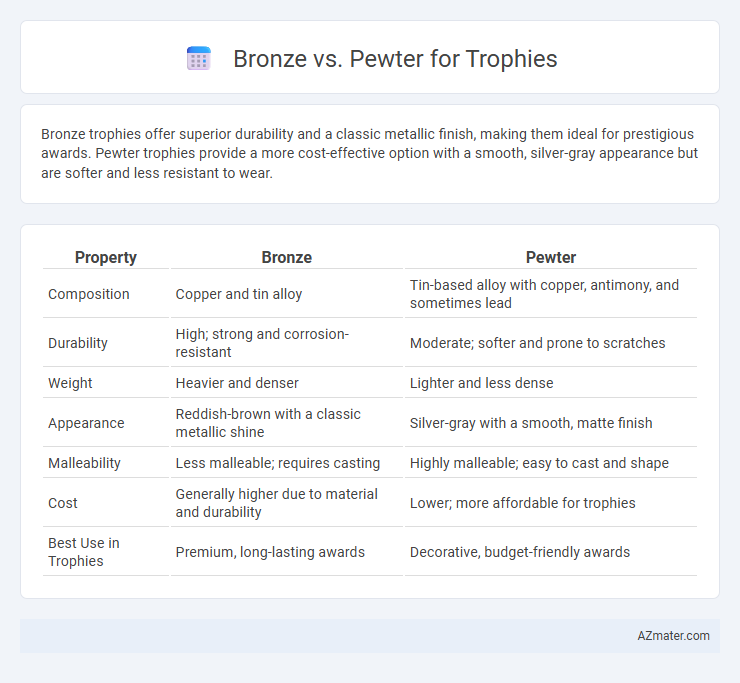 Bronze vs. Pewter for Trophies - What is The Difference?
