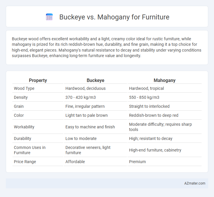 Buckeye vs. Mahogany for Furniture - What is The Difference?