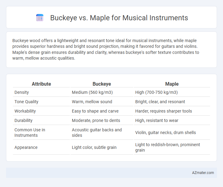 Buckeye vs. Maple for Musical Instruments - What is The Difference?