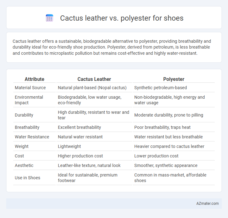 Cactus leather vs. polyester for shoes - What is The Difference?