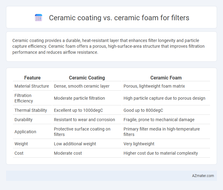 Ceramic coating vs. ceramic foam for filters - What is The Difference?