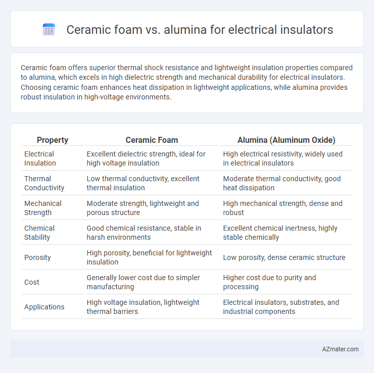 Ceramic foam vs. alumina for electrical insulators - What is The Difference?