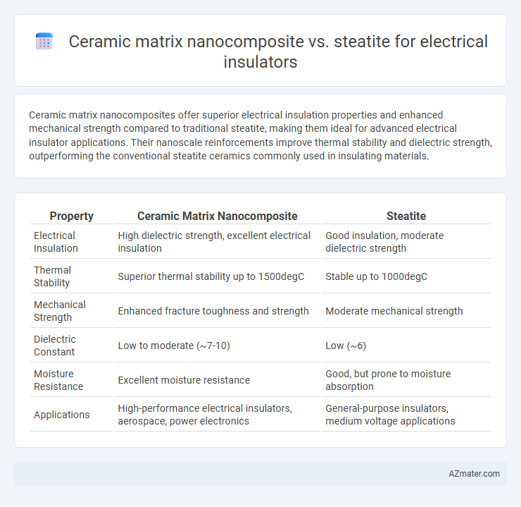 Ceramic matrix nanocomposite vs. steatite for electrical insulators - What is The Difference?