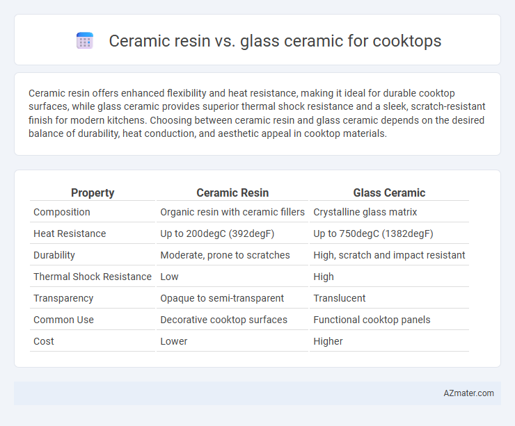 Ceramic resin vs. glass ceramic for cooktops - What is The Difference?