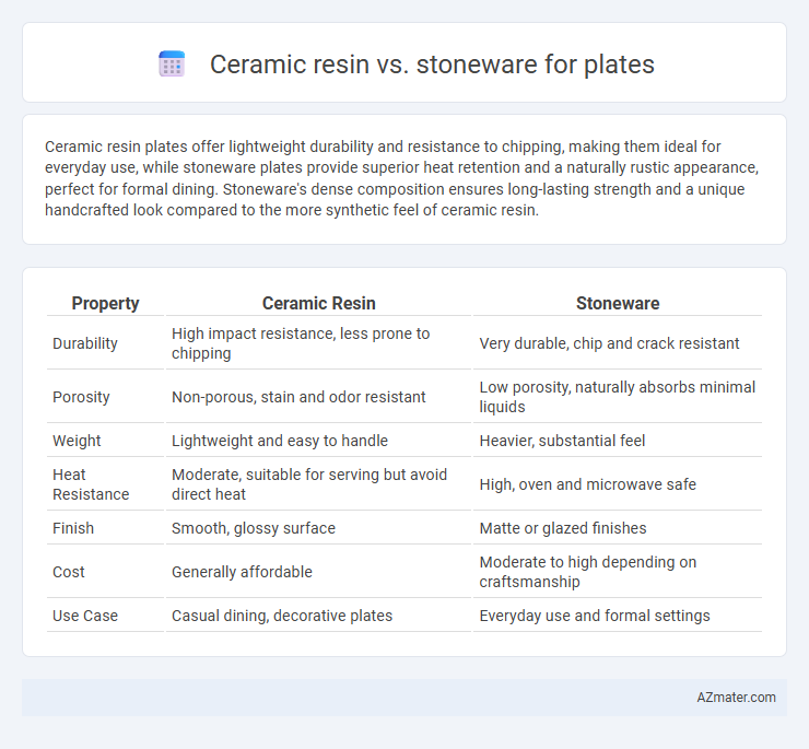 Ceramic resin vs. stoneware for plates - What is The Difference?