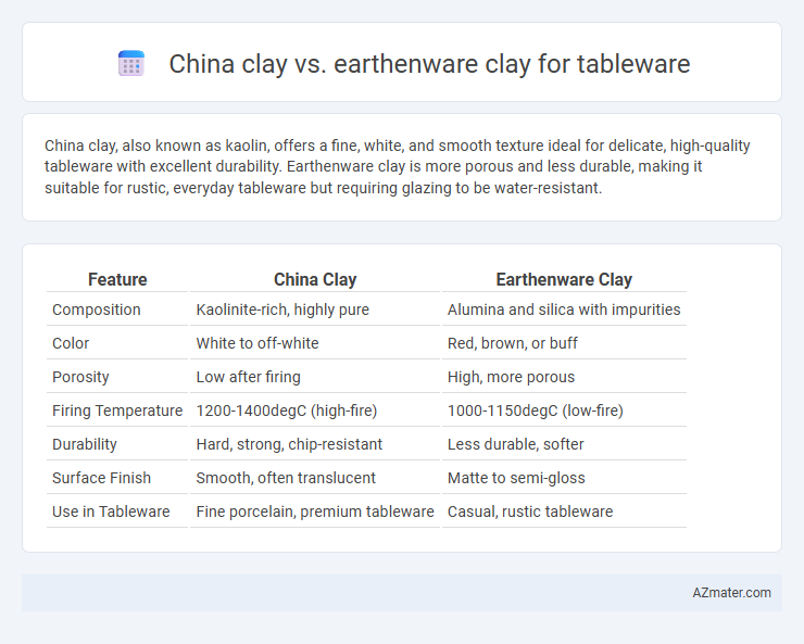 China clay vs. earthenware clay for tableware - What is The Difference?
