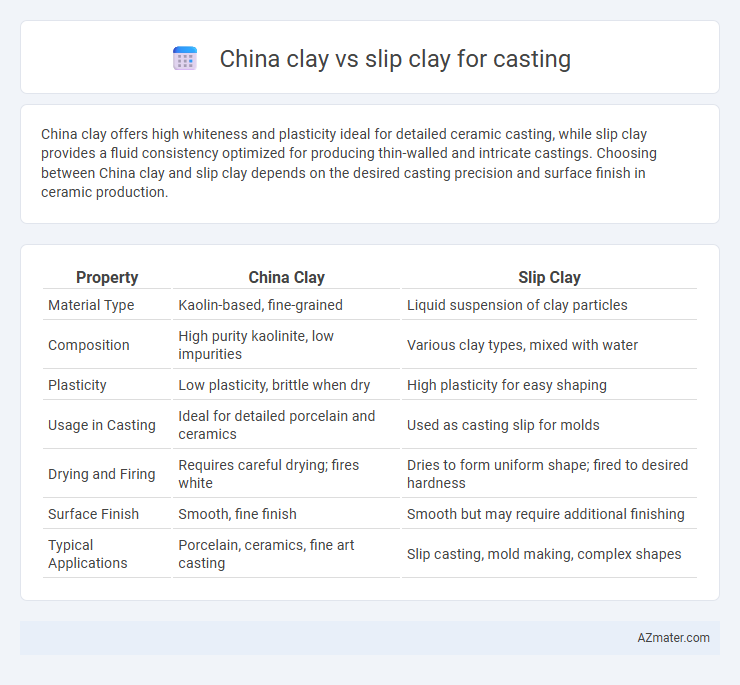 China clay vs slip clay for casting - What is The Difference?