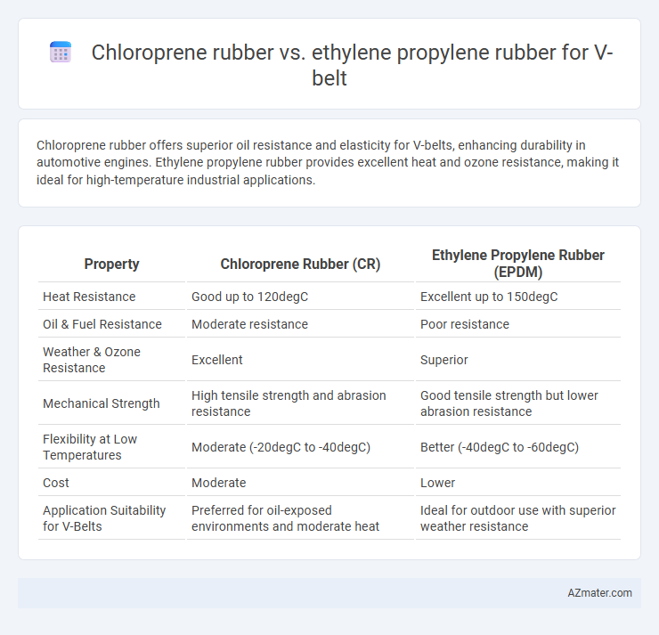 Chloroprene rubber vs. ethylene propylene rubber for V-belt - What is The Difference?