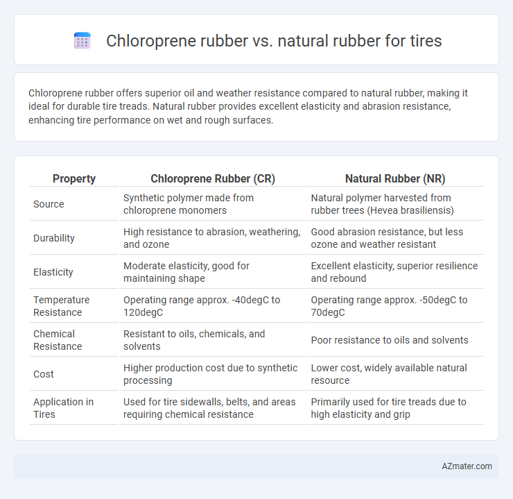 Chloroprene rubber vs. natural rubber for tires - What is The Difference?