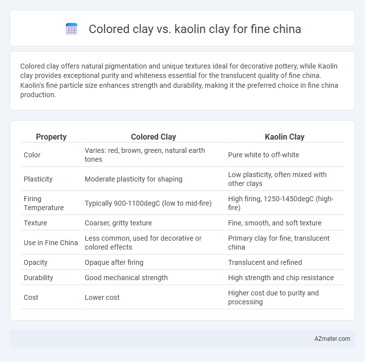 Colored clay vs. kaolin clay for fine china - What is The Difference?