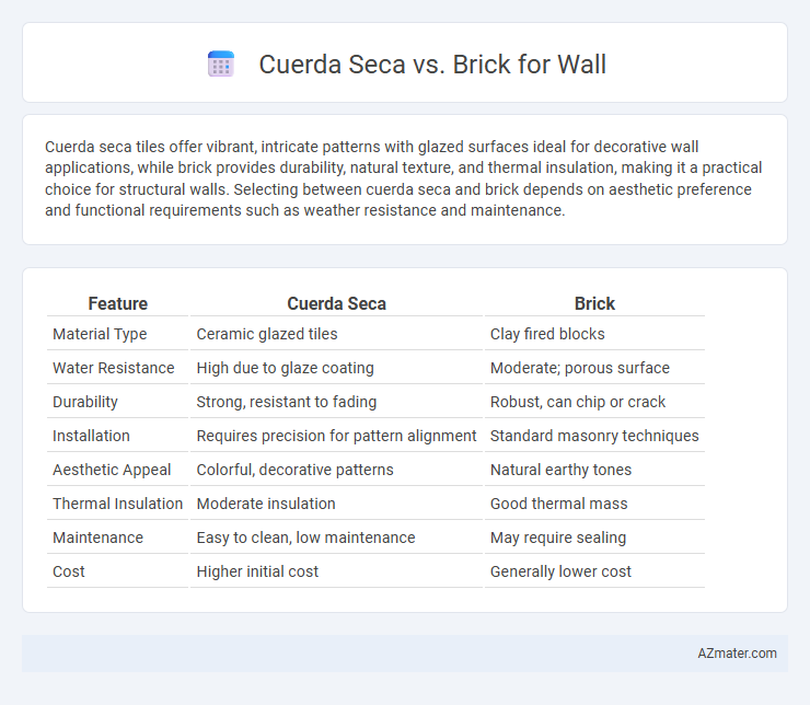 Cuerda Seca vs. Brick for Wall - What is The Difference?