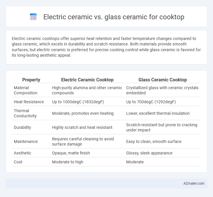 Electric ceramic vs. glass ceramic for cooktop - What is The Difference?