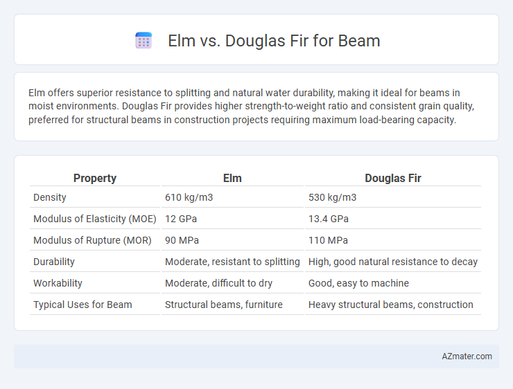 Elm vs. Douglas Fir for Beam - What is The Difference?