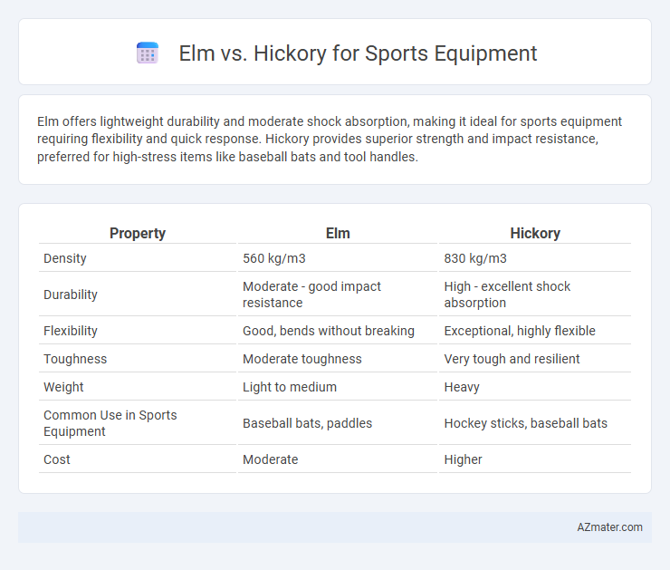Elm vs. Hickory for Sports Equipment - What is The Difference?