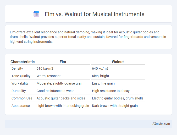 Elm vs. Walnut for Musical Instruments - What is The Difference?