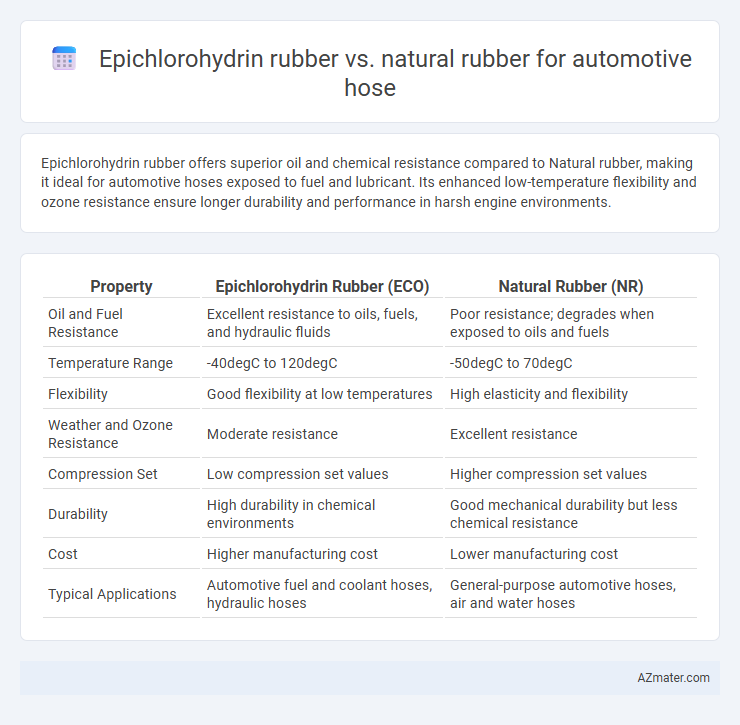 Epichlorohydrin rubber vs. natural rubber for automotive hose - What is The Difference?